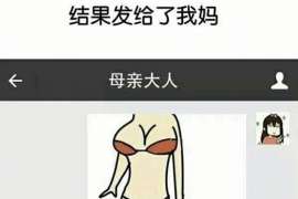 金凤小三调查